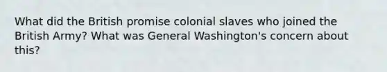 What did the British promise colonial slaves who joined the British Army? What was General Washington's concern about this?