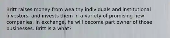 Britt raises money from wealthy individuals and institutional investors, and invests them in a variety of promising new companies. In exchange, he will become part owner of those businesses. Britt is a what?