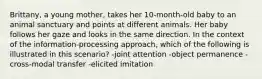 Brittany, a young mother, takes her 10-month-old baby to an animal sanctuary and points at different animals. Her baby follows her gaze and looks in the same direction. In the context of the information-processing approach, which of the following is illustrated in this scenario? -joint attention -object permanence -cross-modal transfer -elicited imitation