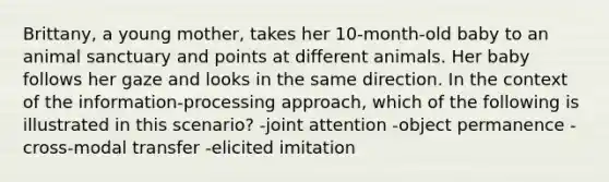 Brittany, a young mother, takes her 10-month-old baby to an animal sanctuary and points at different animals. Her baby follows her gaze and looks in the same direction. In the context of the information-processing approach, which of the following is illustrated in this scenario? -joint attention -object permanence -cross-modal transfer -elicited imitation