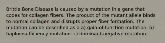 Brittle Bone Disease is caused by a mutation in a gene that codes for collagen fibers. The product of the mutant allele binds to normal collagen and disrupts proper fiber formation. The mutation can be described as a a) gain-of-function mutation. b) haploinsufficiency mutation. c) dominant-negative mutation.