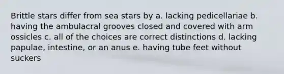 Brittle stars differ from sea stars by a. lacking pedicellariae b. having the ambulacral grooves closed and covered with arm ossicles c. all of the choices are correct distinctions d. lacking papulae, intestine, or an anus e. having tube feet without suckers