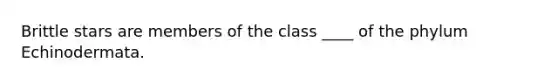 Brittle stars are members of the class ____ of the phylum Echinodermata.