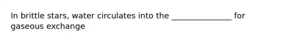 In brittle stars, water circulates into the _______________ for gaseous exchange