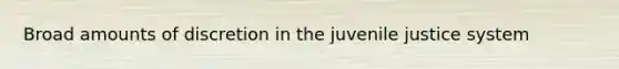 Broad amounts of discretion in the juvenile justice system