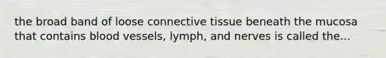 the broad band of loose connective tissue beneath the mucosa that contains blood vessels, lymph, and nerves is called the...