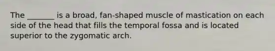 The _______ is a broad, fan-shaped muscle of mastication on each side of the head that fills the temporal fossa and is located superior to the zygomatic arch.