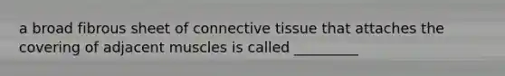 a broad fibrous sheet of <a href='https://www.questionai.com/knowledge/kYDr0DHyc8-connective-tissue' class='anchor-knowledge'>connective tissue</a> that attaches the covering of adjacent muscles is called _________