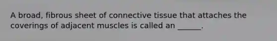A broad, fibrous sheet of <a href='https://www.questionai.com/knowledge/kYDr0DHyc8-connective-tissue' class='anchor-knowledge'>connective tissue</a> that attaches the coverings of adjacent muscles is called an ______.