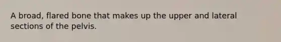 A broad, flared bone that makes up the upper and lateral sections of the pelvis.
