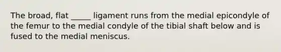 The broad, flat _____ ligament runs from the medial epicondyle of the femur to the medial condyle of the tibial shaft below and is fused to the medial meniscus.