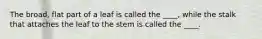 The broad, flat part of a leaf is called the ____, while the stalk that attaches the leaf to the stem is called the ____.