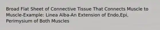 Broad Flat Sheet of Connective Tissue That Connects Muscle to Muscle-Example: Linea Alba-An Extension of Endo,Epi, Perimysium of Both Muscles