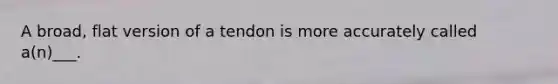 A broad, flat version of a tendon is more accurately called a(n)___.