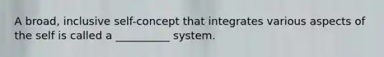 A broad, inclusive self-concept that integrates various aspects of the self is called a __________ system.