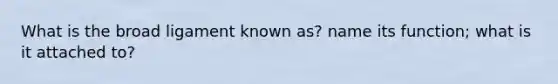 What is the broad ligament known as? name its function; what is it attached to?