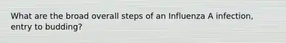 What are the broad overall steps of an Influenza A infection, entry to budding?