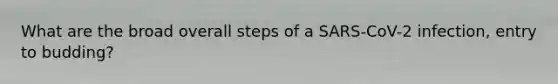 What are the broad overall steps of a SARS-CoV-2 infection, entry to budding?