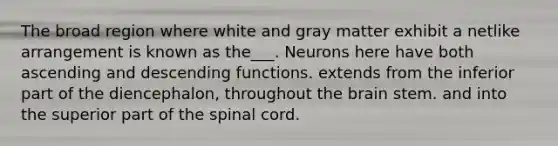 The broad region where white and gray matter exhibit a netlike arrangement is known as the___. Neurons here have both ascending and descending functions. extends from the inferior part of the diencephalon, throughout the brain stem. and into the superior part of the spinal cord.