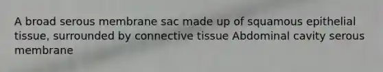 A broad serous membrane sac made up of squamous epithelial tissue, surrounded by connective tissue Abdominal cavity serous membrane