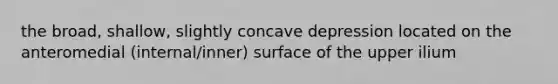 the broad, shallow, slightly concave depression located on the anteromedial (internal/inner) surface of the upper ilium