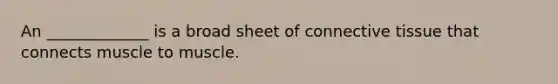 An _____________ is a broad sheet of connective tissue that connects muscle to muscle.