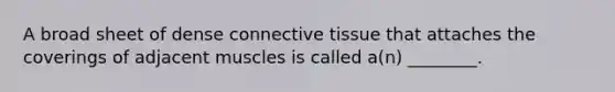 A broad sheet of dense connective tissue that attaches the coverings of adjacent muscles is called a(n) ________.