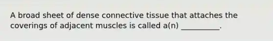 A broad sheet of dense connective tissue that attaches the coverings of adjacent muscles is called a(n) __________.