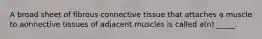 A broad sheet of fibrous connective tissue that attaches a muscle to aonnective tissues of adjacent muscles is called a(n) _____.