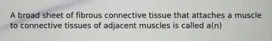 A broad sheet of fibrous <a href='https://www.questionai.com/knowledge/kYDr0DHyc8-connective-tissue' class='anchor-knowledge'>connective tissue</a> that attaches a muscle to connective tissues of adjacent muscles is called a(n)