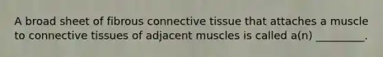 A broad sheet of fibrous connective tissue that attaches a muscle to connective tissues of adjacent muscles is called a(n) _________.