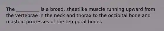 The __________ is a broad, sheetlike muscle running upward from the vertebrae in the neck and thorax to the occipital bone and mastoid processes of the temporal bones