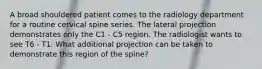 A broad shouldered patient comes to the radiology department for a routine cervical spine series. The lateral projection demonstrates only the C1 - C5 region. The radiologist wants to see T6 - T1. What additional projection can be taken to demonstrate this region of the spine?