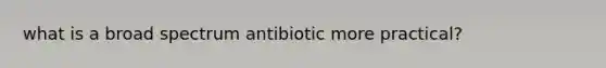 what is a broad spectrum antibiotic more practical?