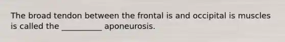 The broad tendon between the frontal is and occipital is muscles is called the __________ aponeurosis.