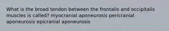 What is the broad tendon between the frontalis and occipitalis muscles is called? myocranial aponeurosis pericranial aponeurosis epicranial aponeurosis