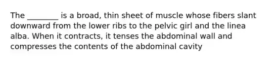 The ________ is a broad, thin sheet of muscle whose fibers slant downward from the lower ribs to the pelvic girl and the linea alba. When it contracts, it tenses the abdominal wall and compresses the contents of the abdominal cavity