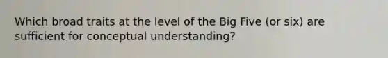 Which broad traits at the level of the Big Five (or six) are sufficient for conceptual understanding?