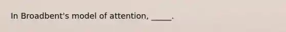 In Broadbent's model of attention, _____.