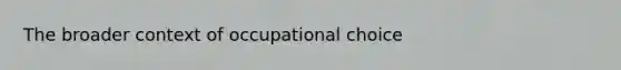 The broader context of occupational choice