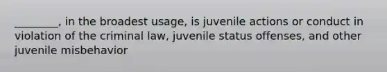 ________, in the broadest usage, is juvenile actions or conduct in violation of the criminal law, juvenile status offenses, and other juvenile misbehavior