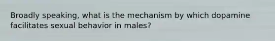 Broadly speaking, what is the mechanism by which dopamine facilitates sexual behavior in males?