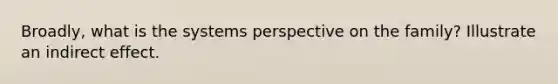 Broadly, what is the systems perspective on the family? Illustrate an indirect effect.