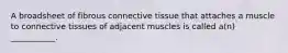 A broadsheet of fibrous connective tissue that attaches a muscle to connective tissues of adjacent muscles is called a(n) ___________.