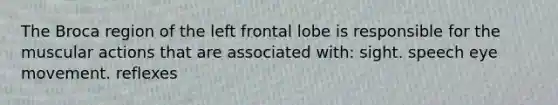 The Broca region of the left frontal lobe is responsible for the muscular actions that are associated with: sight. speech eye movement. reflexes