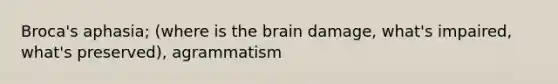 Broca's aphasia; (where is the brain damage, what's impaired, what's preserved), agrammatism