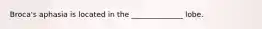 Broca's aphasia is located in the ______________ lobe.