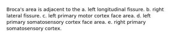 Broca's area is adjacent to the a. left longitudinal fissure. b. right lateral fissure. c. left primary motor cortex face area. d. left primary somatosensory cortex face area. e. right primary somatosensory cortex.