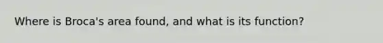 Where is Broca's area found, and what is its function?