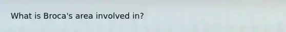 What is Broca's area involved in?